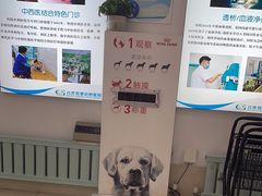-北京观赏动物医院·24小时大型综合·猫专科·异宠专科