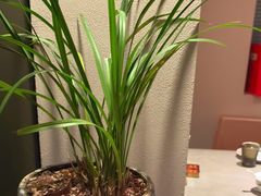 -羊门客在·烤盐池滩羊·川菜