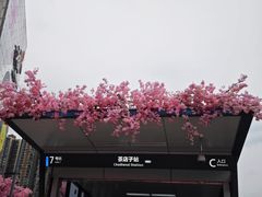 -首开·龙湖成都西宸天街