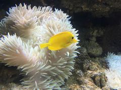 -多彩贵州城极地海洋世界