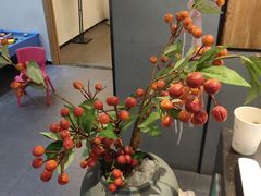 -庆德堂中医馆·小儿推拿(江北店)