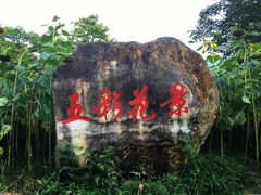 -广州市流溪河国家森林公园