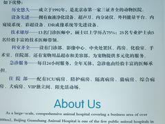 -北京观赏动物医院·24小时大型综合·猫专科·异宠专科