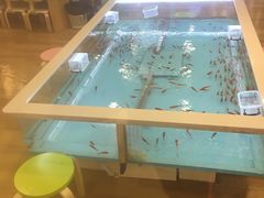 -好乐迪(紫荆广场店)