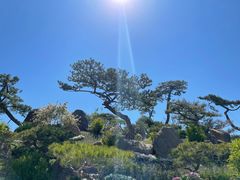 -罗红摄影艺术馆