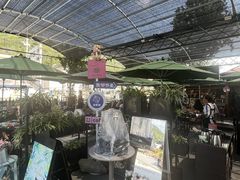-京北渔家傲