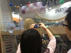 -东浩兰生上海世博展览馆