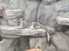 -青藏高原野生动物园