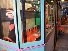 -猫咪博物馆(顶澳仔猫街店)