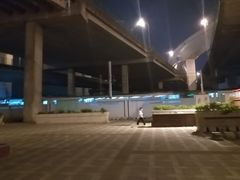 -锦江乐园(地铁站)