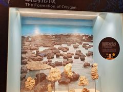 -正佳自然科学博物馆