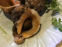 鸿山角螺-堂宴·老厦门私房菜(1988仙岳总店)