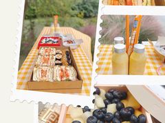 -花开海上生态园