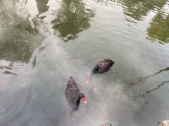 -天毓山庄·餐厅