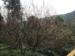 -柏联酒店