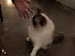 -咖法森林·咖啡  酒吧(天河店)