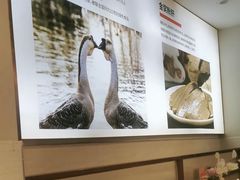 -陆记鹅庄·潮汕菜·狮头鹅(大仟里店)