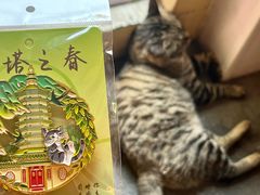 -万松老人塔