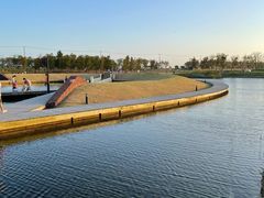 -春花秋色城市公园