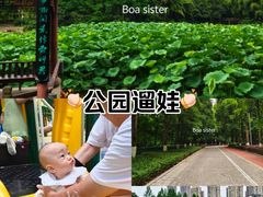 -龙头寺公园