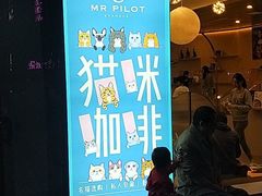 门面-飞行喵MR PILOT|猫舍·猫咖(静安大融城店)