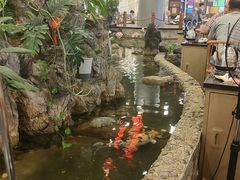 -丰圆轩粤式茶楼 . 点心粤菜(夏茅店)