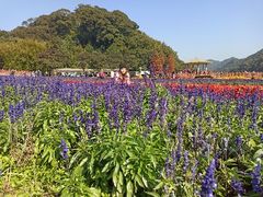 -广州市石门国家森林公园