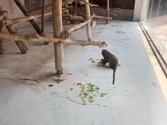 -太原动物园