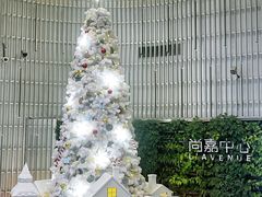 -上海尚嘉中心