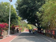-仙岳公园