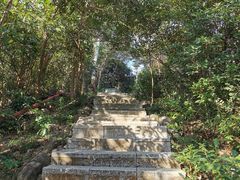 -小南山公园