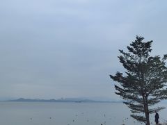-深圳湾公园(南山区)