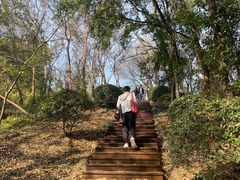 -南京市江宁方山
