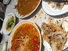 -全乐鱼馆·淳牌有机鱼直营店