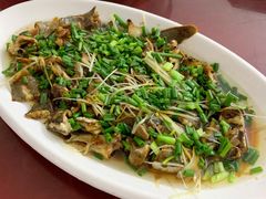 豉汁蒸锥鱼-雅丽餐厅