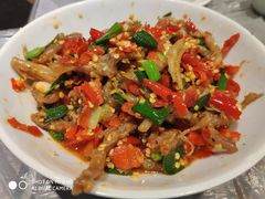 鸭掌筋-壹盏灯(惠农店)