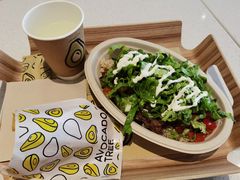 -油梨树 AVOCADO TREE(亮马桥店)