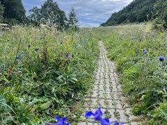 -白草畔自然风景区