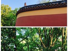 -黑色经典臭豆腐·湖南特产(步行街店)