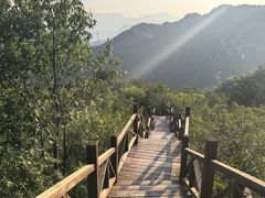 -大岭沟猕猴桃谷风景区