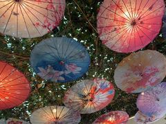 -海韵人家.海景花园经典云南菜(双廊店)