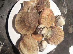 扇贝-火锅岛潮牌自助餐厅(天津天佑城店)