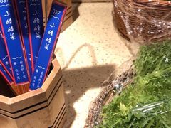 -新凯里酸汤鱼(飞山街店)