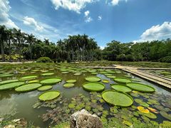 -中国科学院西双版纳热带植物园