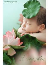 -诺米宝贝摄影工作室(铁机路店)