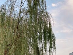 -黄兴公园