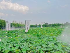 -嘉北郊野公园