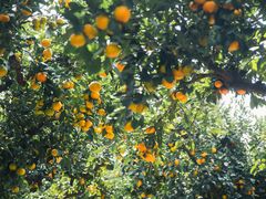 -滨江森林公园-真人CS野战场