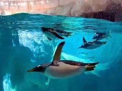 -波塞冬旅游度假区