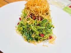 巧拌豆苗-四季民福烤鸭店(前门廊房二条店)